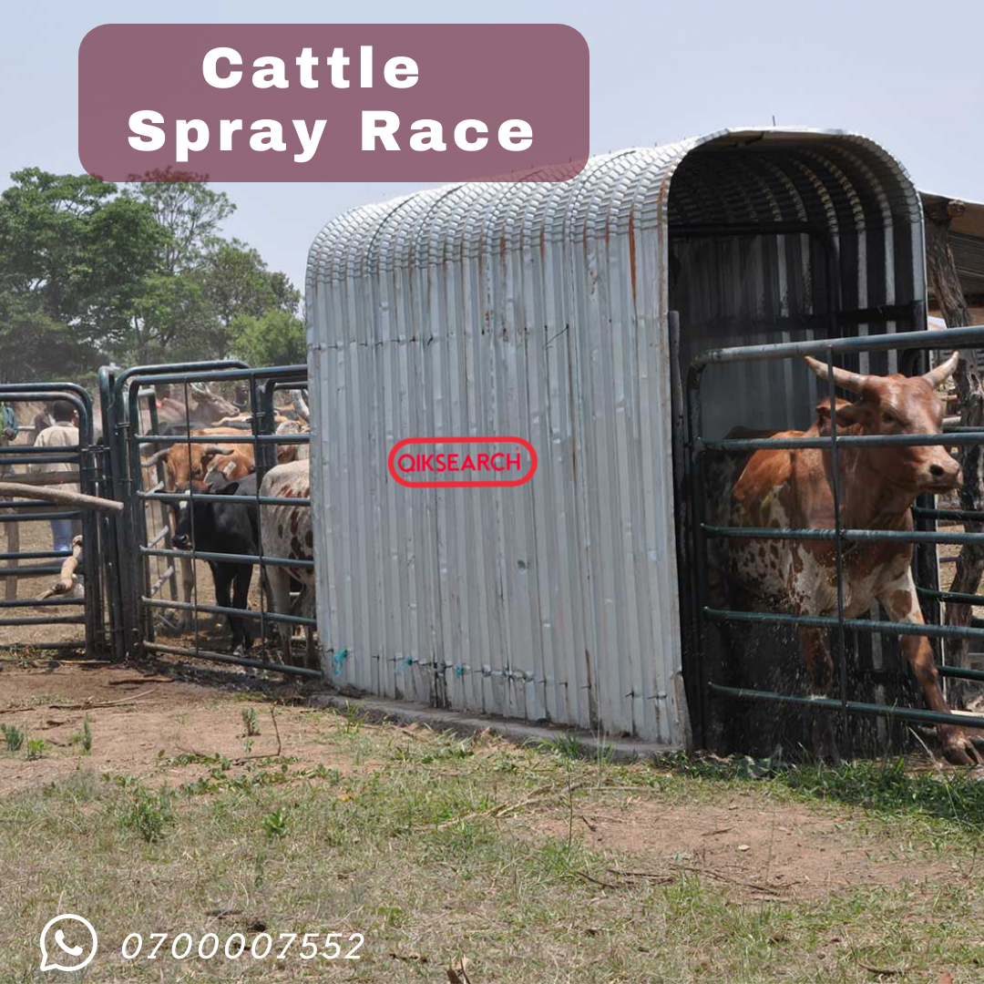Cattle Spray Race ksh 200,000