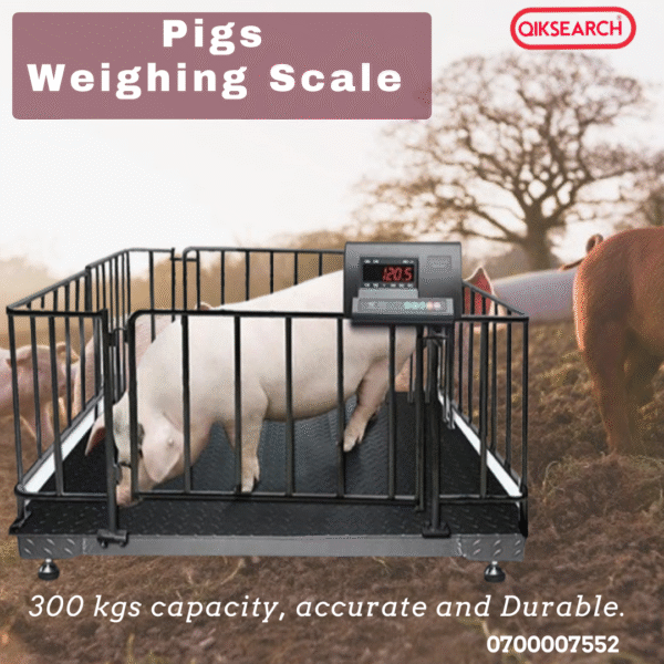Digital Pig Weighing Scale – Heavy Duty Livestock Scale with Platform for Swine and Hogs - Image 2