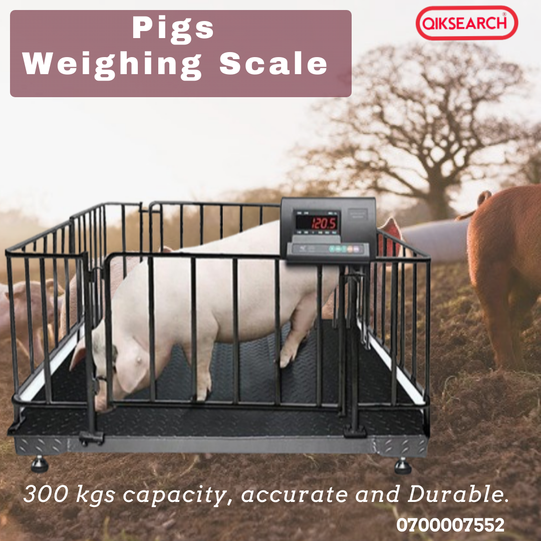 Digiatl pigs weighing Scale ksh 45,000