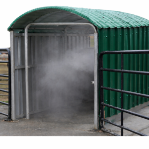 Goat Sheep Spray Race in Kenya