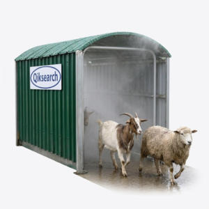 Goat Sheep Spray Race